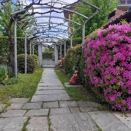 Ossola *